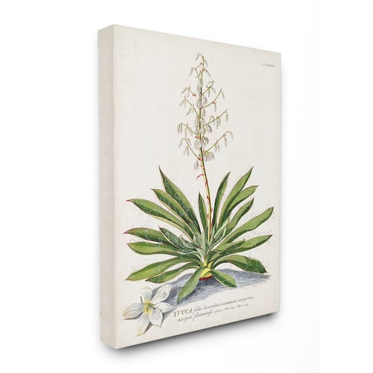 Stupell Industries Botanical Fern Illustration Wall Art